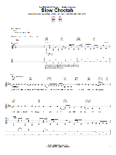 Slow Cheetah (Download) 
