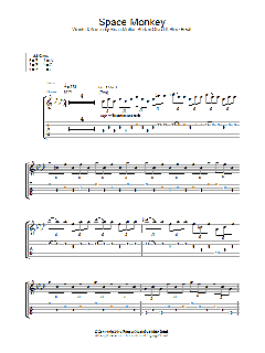 Space Monkey (Download) 