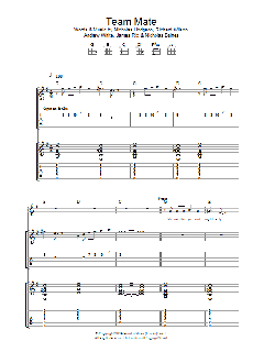 Team Mate (Download) 