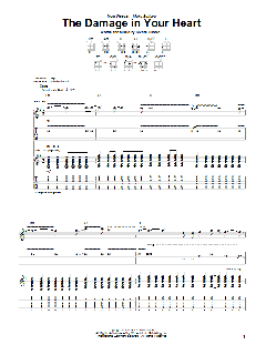 The Damage In Your Heart (Download) 