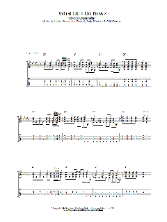 What Do I Do Now? (Download) 