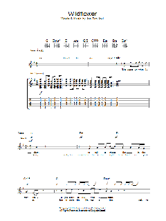 Wildflower (Download) 
