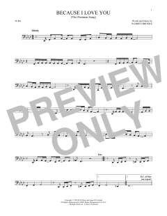 Because I Love You (Download) 