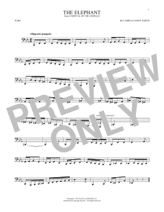 The Elephant (Download) 