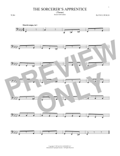 The Sorcerer's Apprentice (Download) 