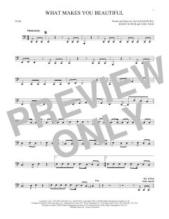 What Makes You Beautiful (Download) 