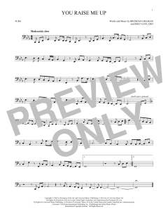 You Raise Me Up (Download) 