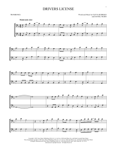 drivers license (Download) 