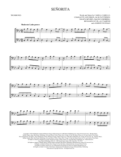 Señorita (Download) 