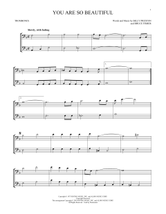 You Are So Beautiful (Download) 