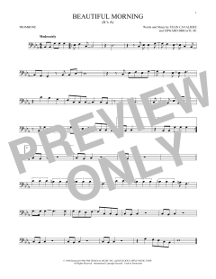 (It's A) Beautiful Morning (Download) 