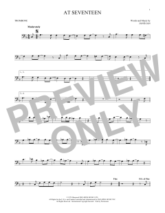 At Seventeen (Download) 