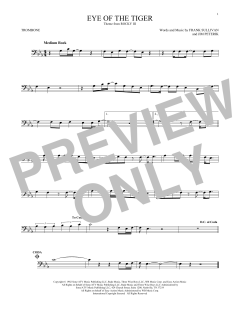 Eye Of The Tiger (Download) 