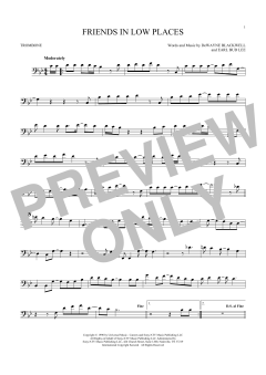 Friends In Low Places (Download) 