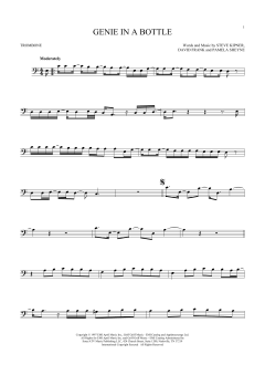 Genie In A Bottle (Download) 