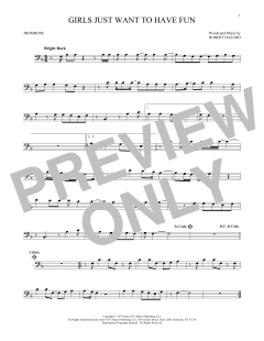 Girls Just Want To Have Fun (Download) 