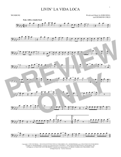 Livin' La Vida Loca (Download) 