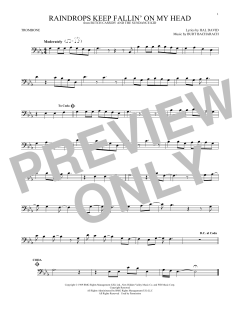 Raindrops Keep Fallin' On My Head (Download) 