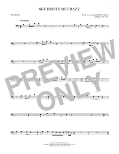 She Drives Me Crazy (Download) 