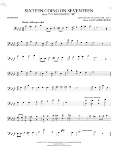 Sixteen Going On Seventeen (Download) 