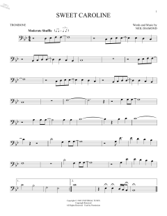 Sweet Caroline (Download) 