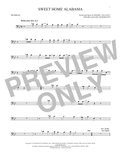 Sweet Home Alabama (Download) 