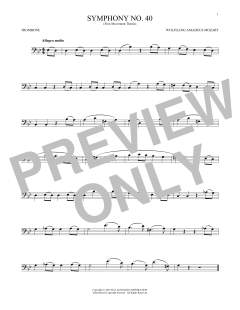 Symphony No. 40 In G Minor, First Movement Excerpt (Download) 