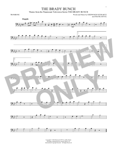 The Brady Bunch (Download) 