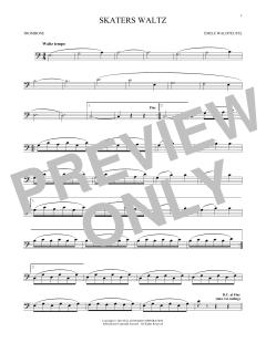 The Skaters (Download) 