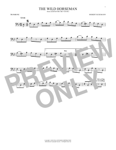 The Wild Horseman (Download) 