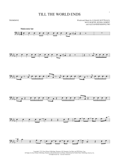 Till The World Ends (Download) 