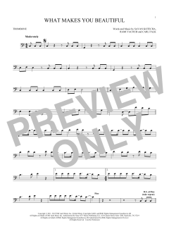 What Makes You Beautiful (Download) 