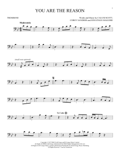 You Are The Reason (Download) 