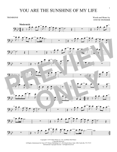 You Are The Sunshine Of My Life (Download) 