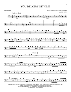 You Belong With Me (Download) 