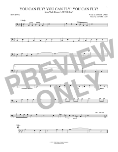 You Can Fly! You Can Fly! You Can Fly! (Download) 