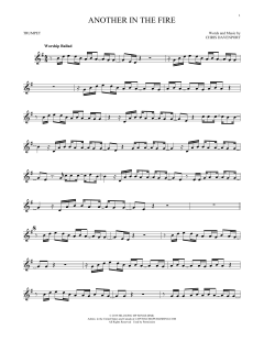 Another In The Fire (Download) 