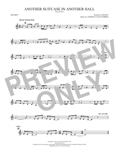 Another Suitcase In Another Hall (Download) 