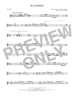 Blackbird (Download) 