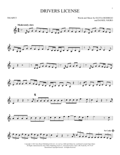 Drivers License (Download) 