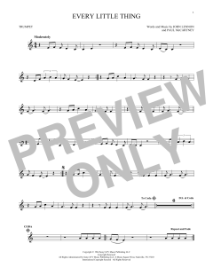 Every Little Thing (Download) 