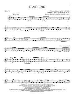 It Ain't Me (Download) 