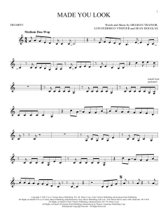 Made You Look (Download) 