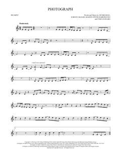 Photograph (Download) 