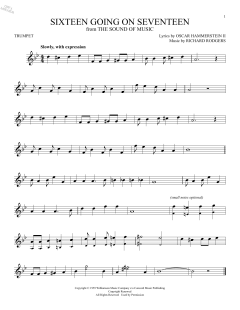 Sixteen Going On Seventeen (Download) 