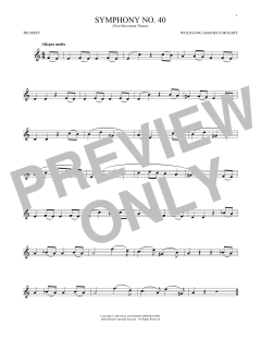 Symphony No. 40 In G Minor, First Movement Excerpt (Download) 