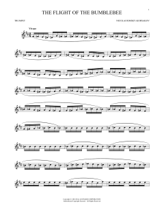 The Flight Of The Bumble Bee (Download) 