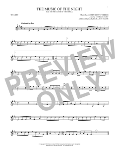 The Music Of The Night (Download) 