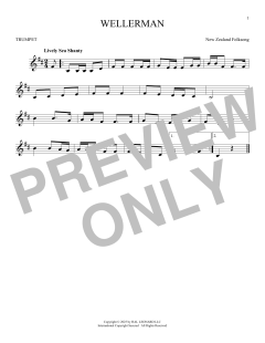 Wellerman (Download) 