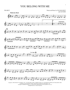 You Belong With Me (Download) 